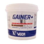 پودر گینر پلاس | ویگور - Image 2